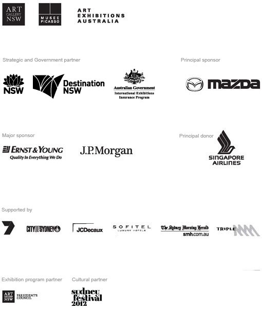Picasso sponsors