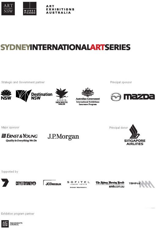Picasso sponsors